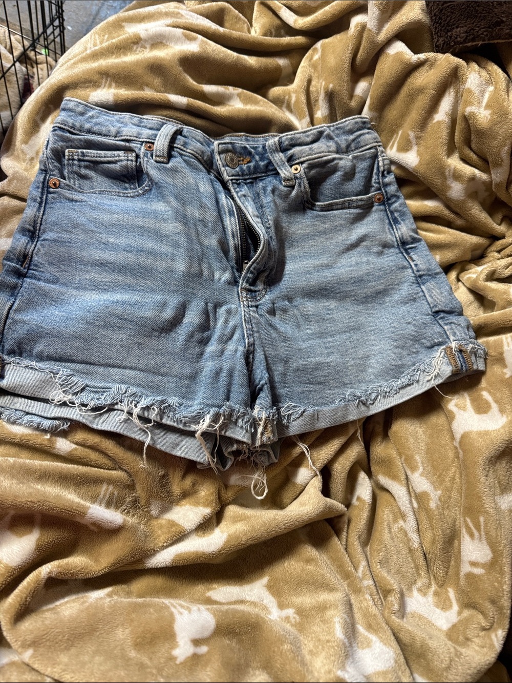 American Eagle Outfitters Light Blue Denim Frayed Hem Shorts